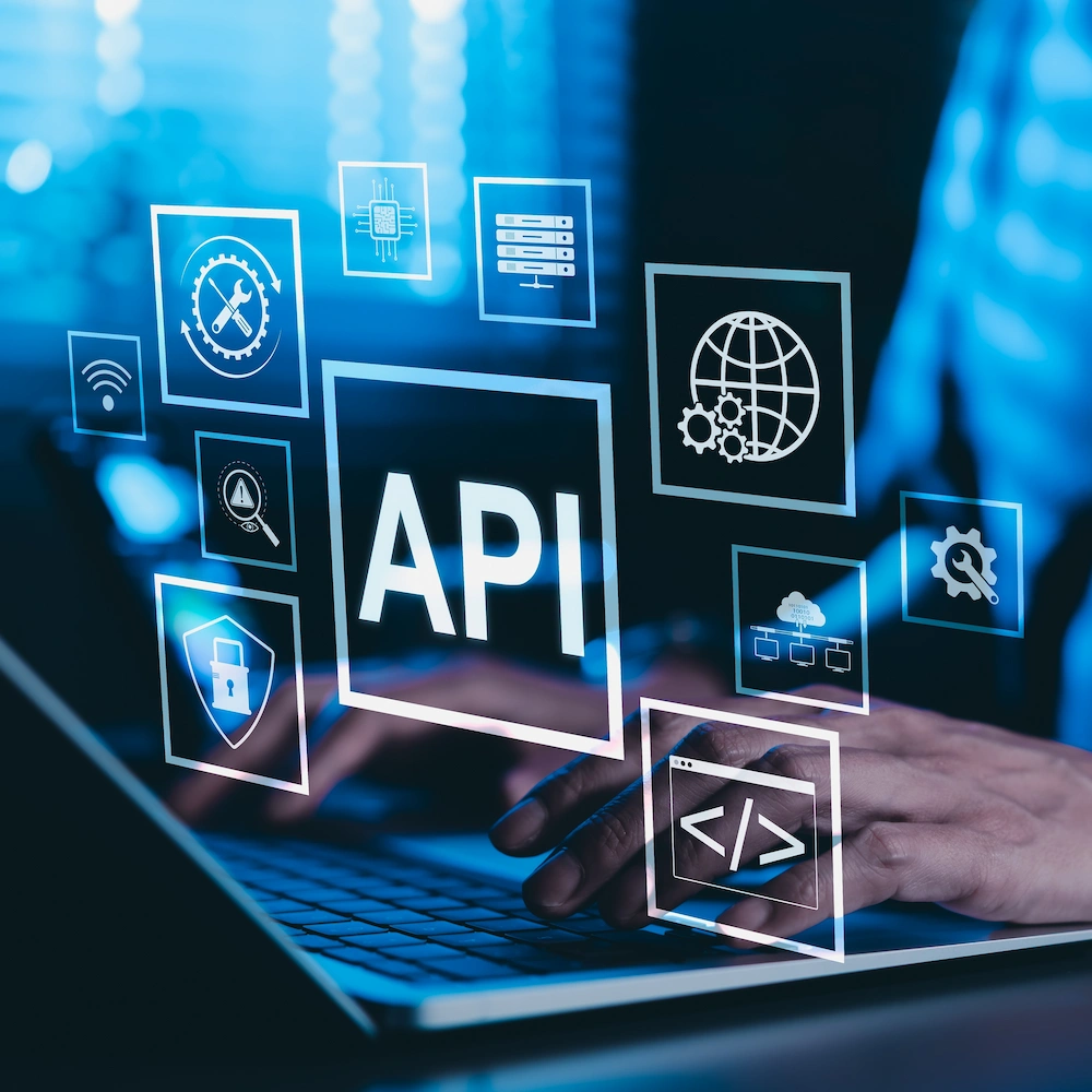 Dijital Servisler & API Platformları