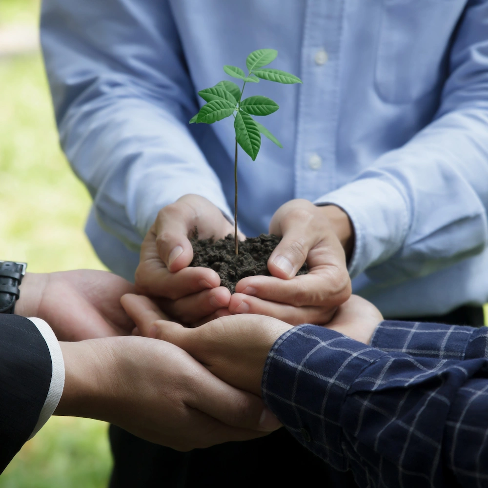 Environmental Sustainability